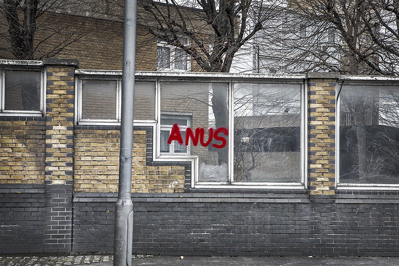 ANUS
