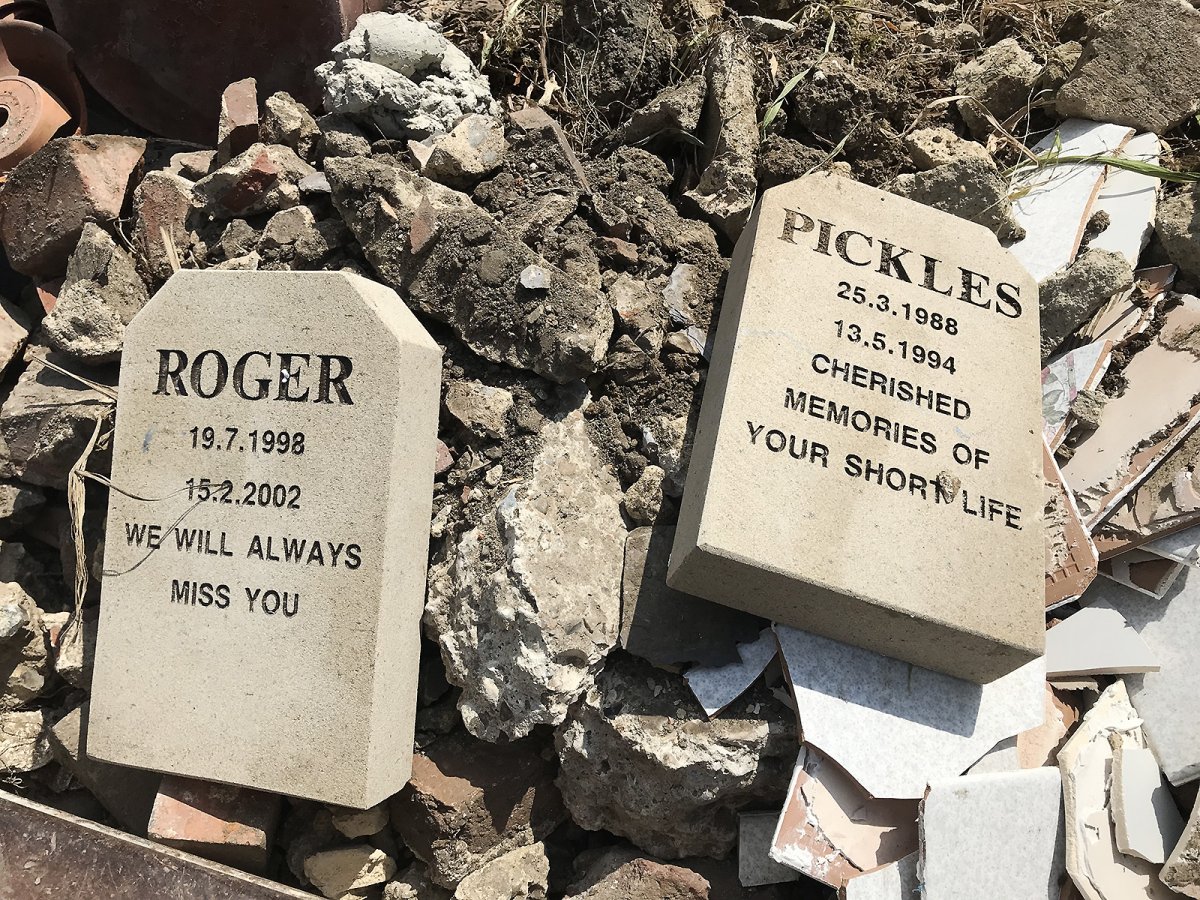 today at the dump