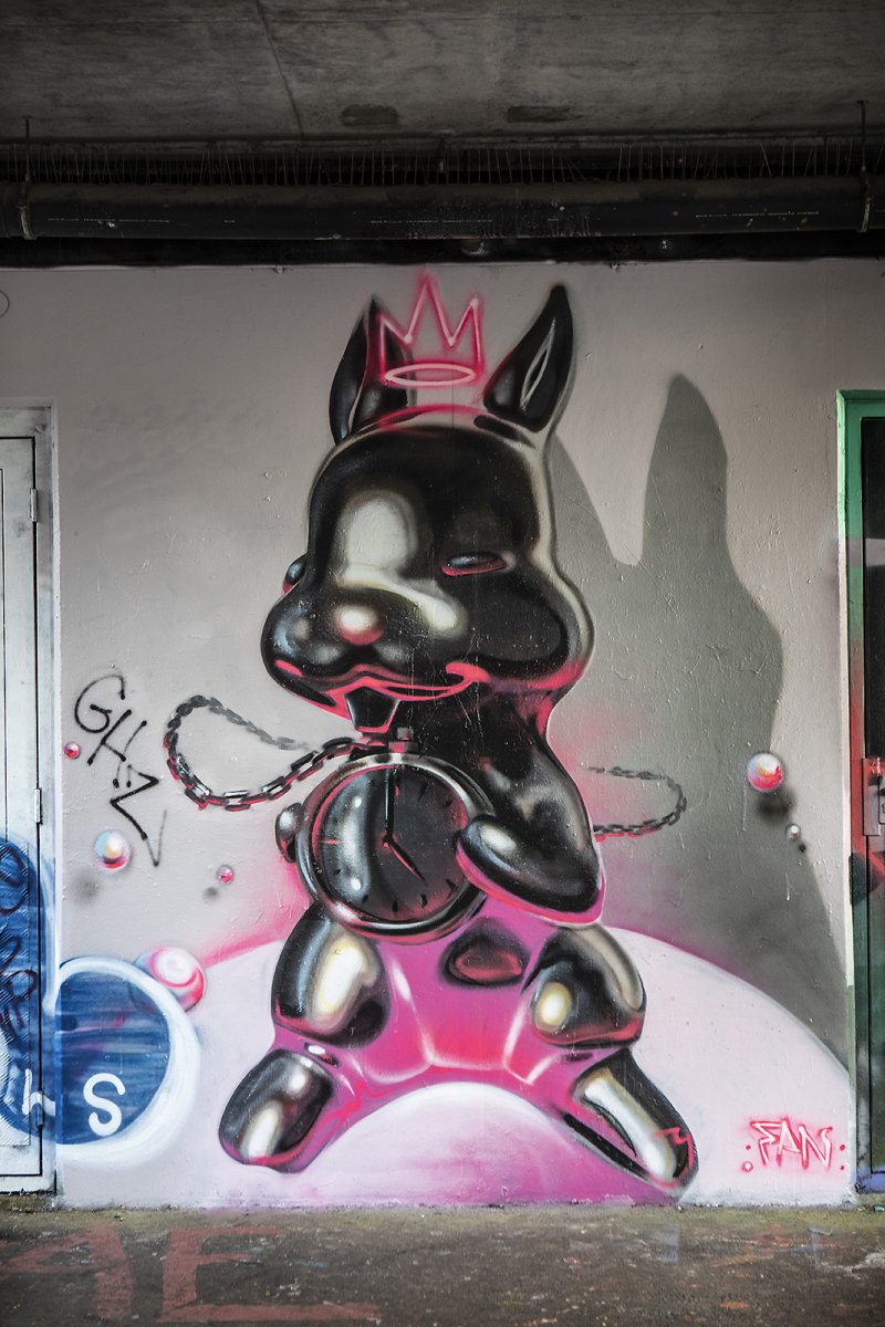 show me the bunny