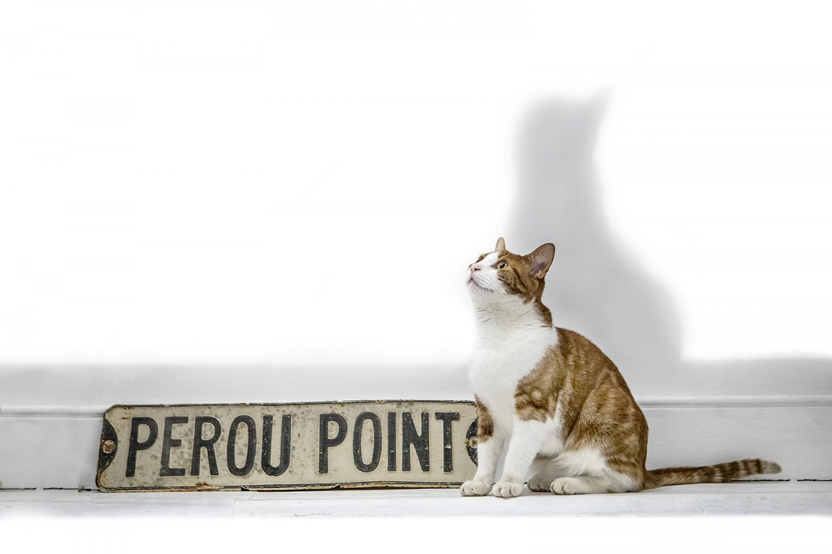 PEROU POINT