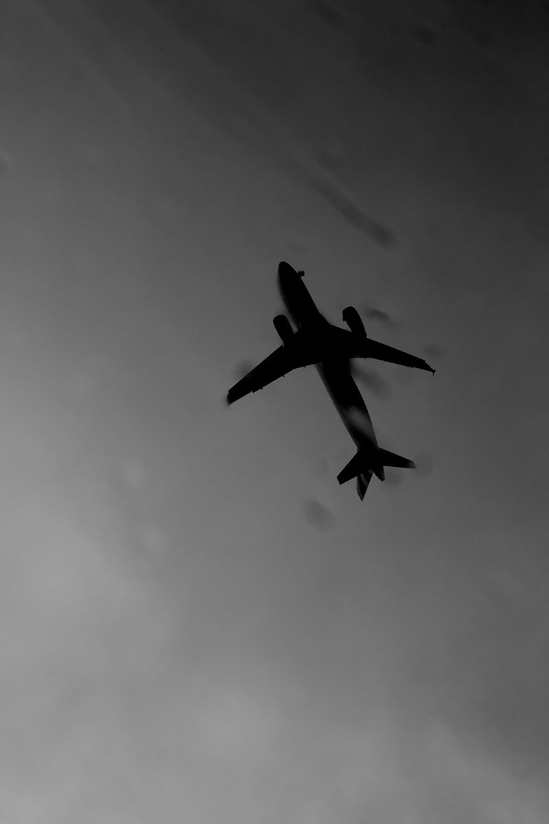 come fly with me
