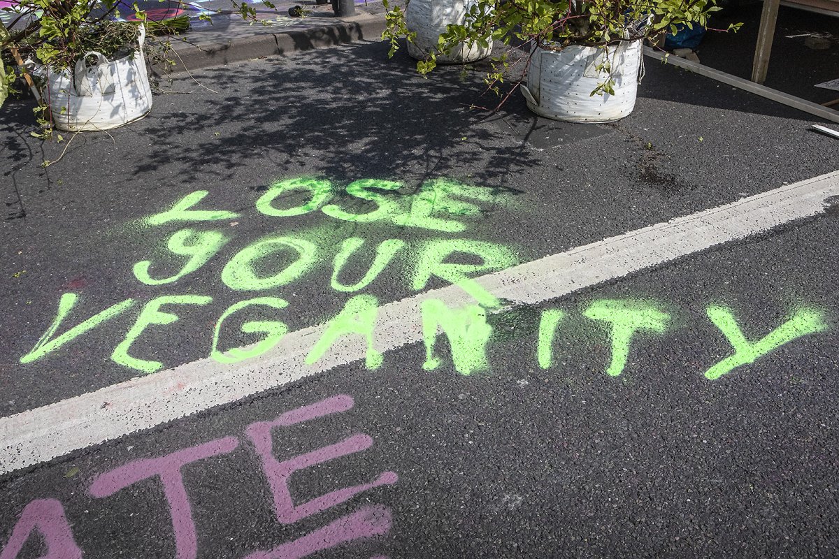 LOSE YOUR VEGANITY