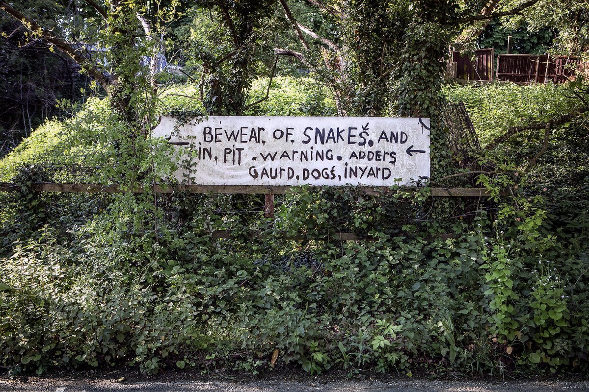 bewear snakes