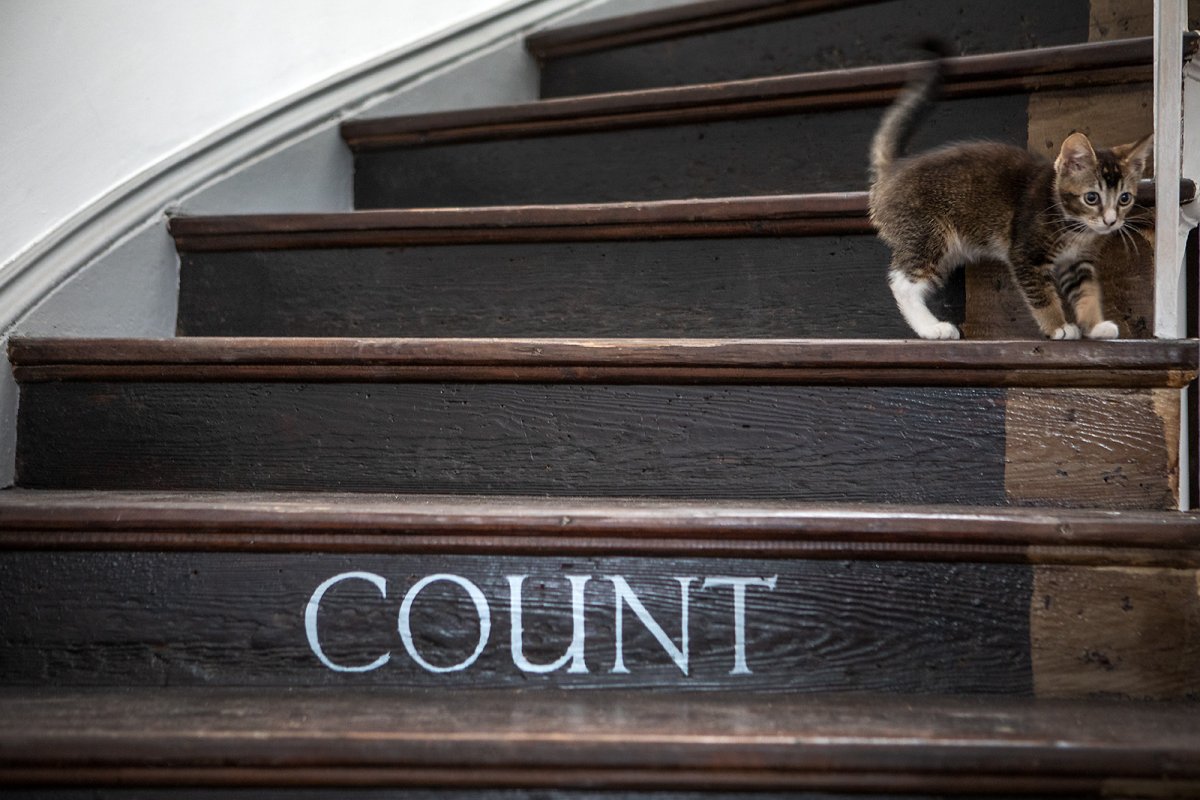 count to 9