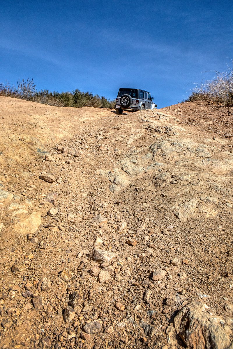 adrenaline junkies