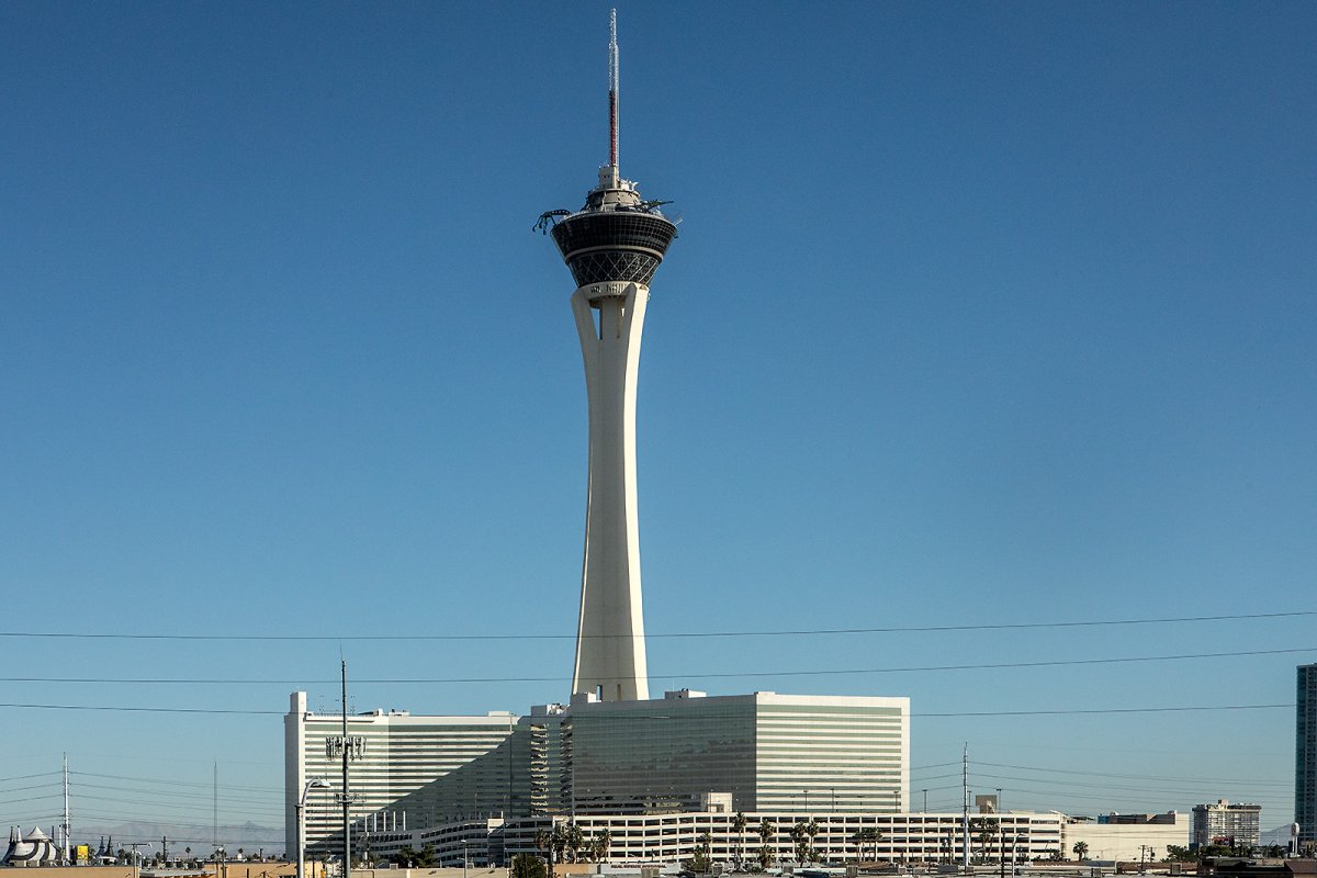 las phallus