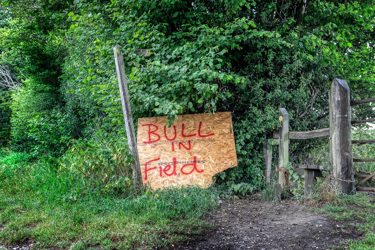 bullshit in field