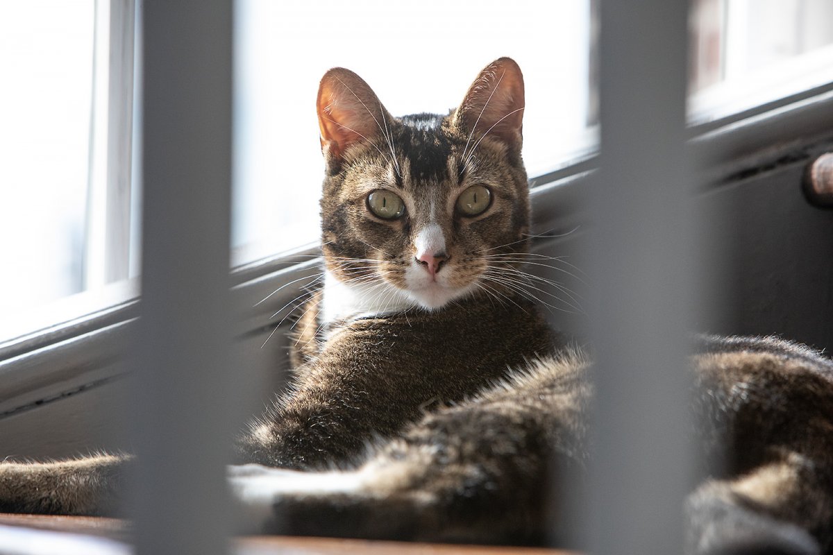 my pussy