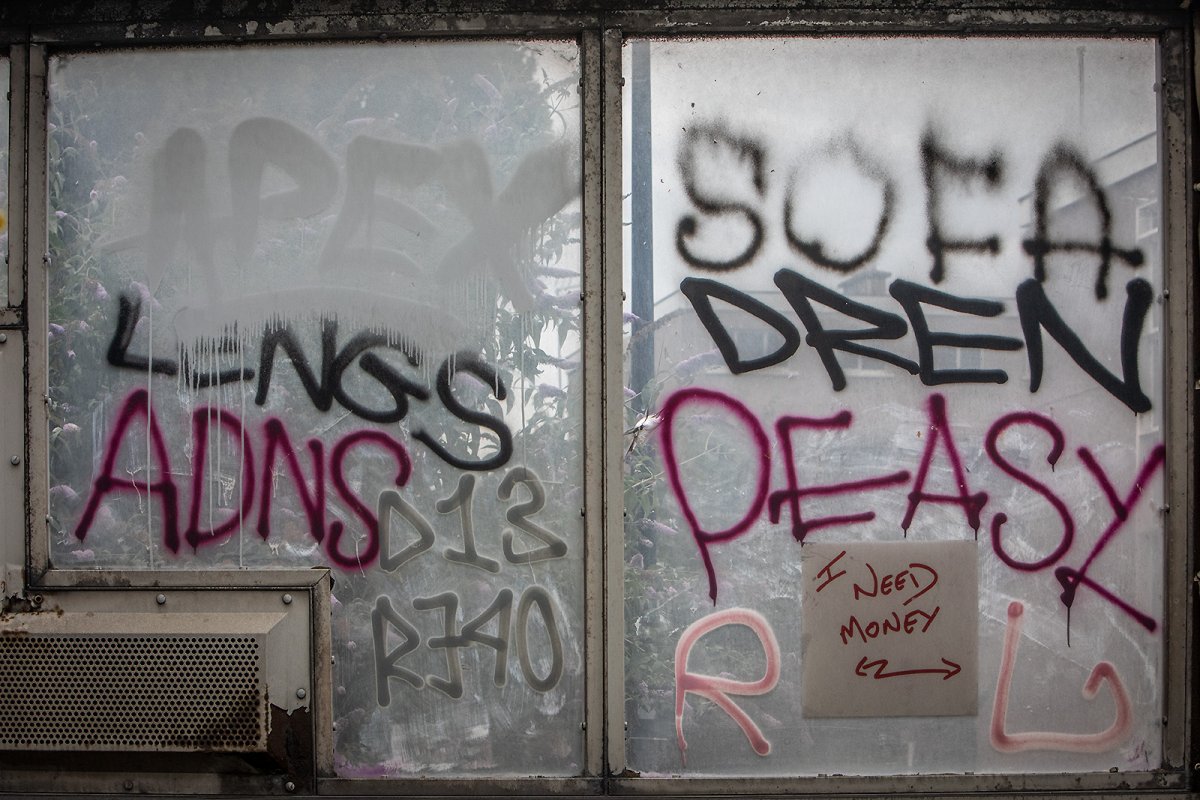 more noise please