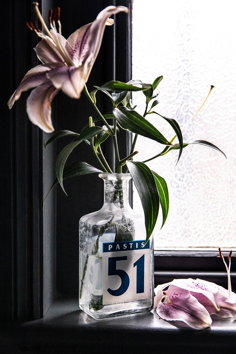 PASTIS 51