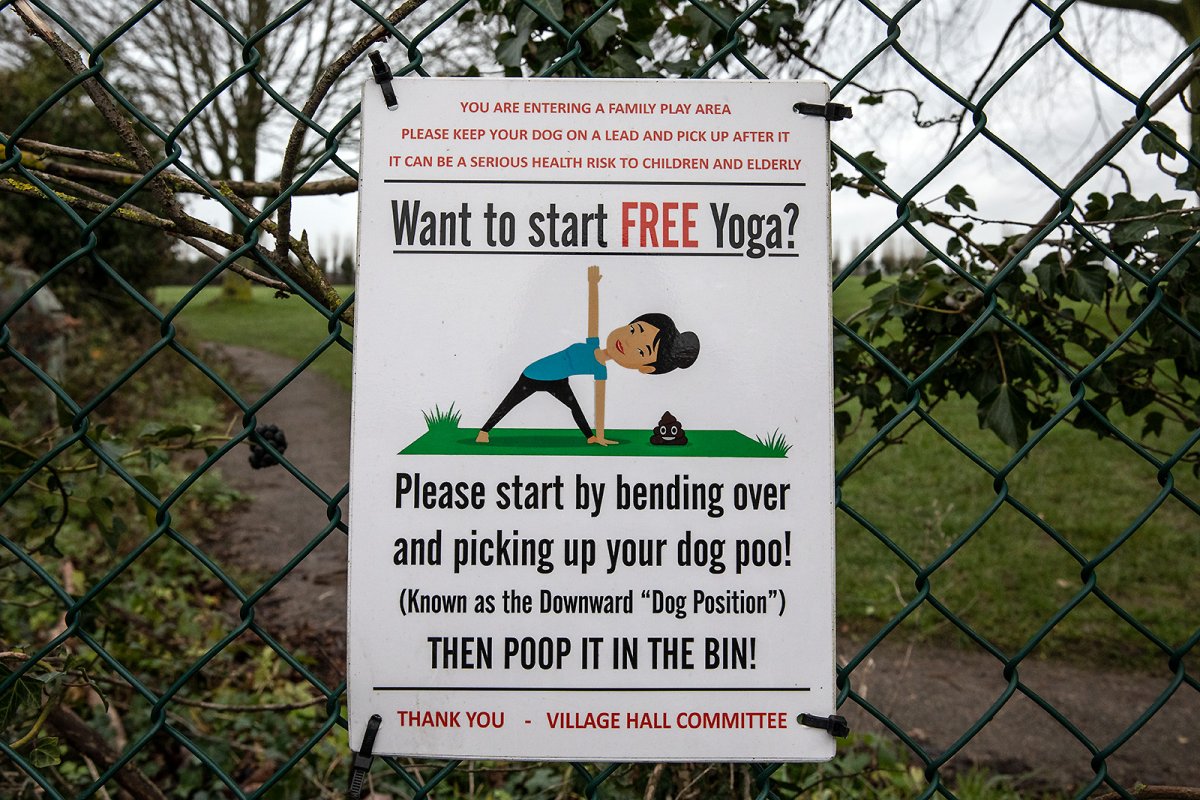 free yoga