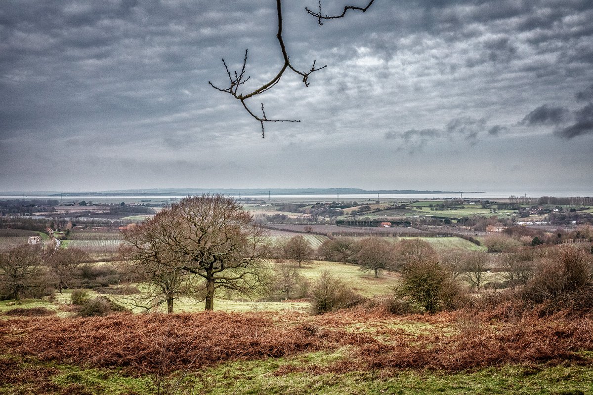 hernhill looking across the swale