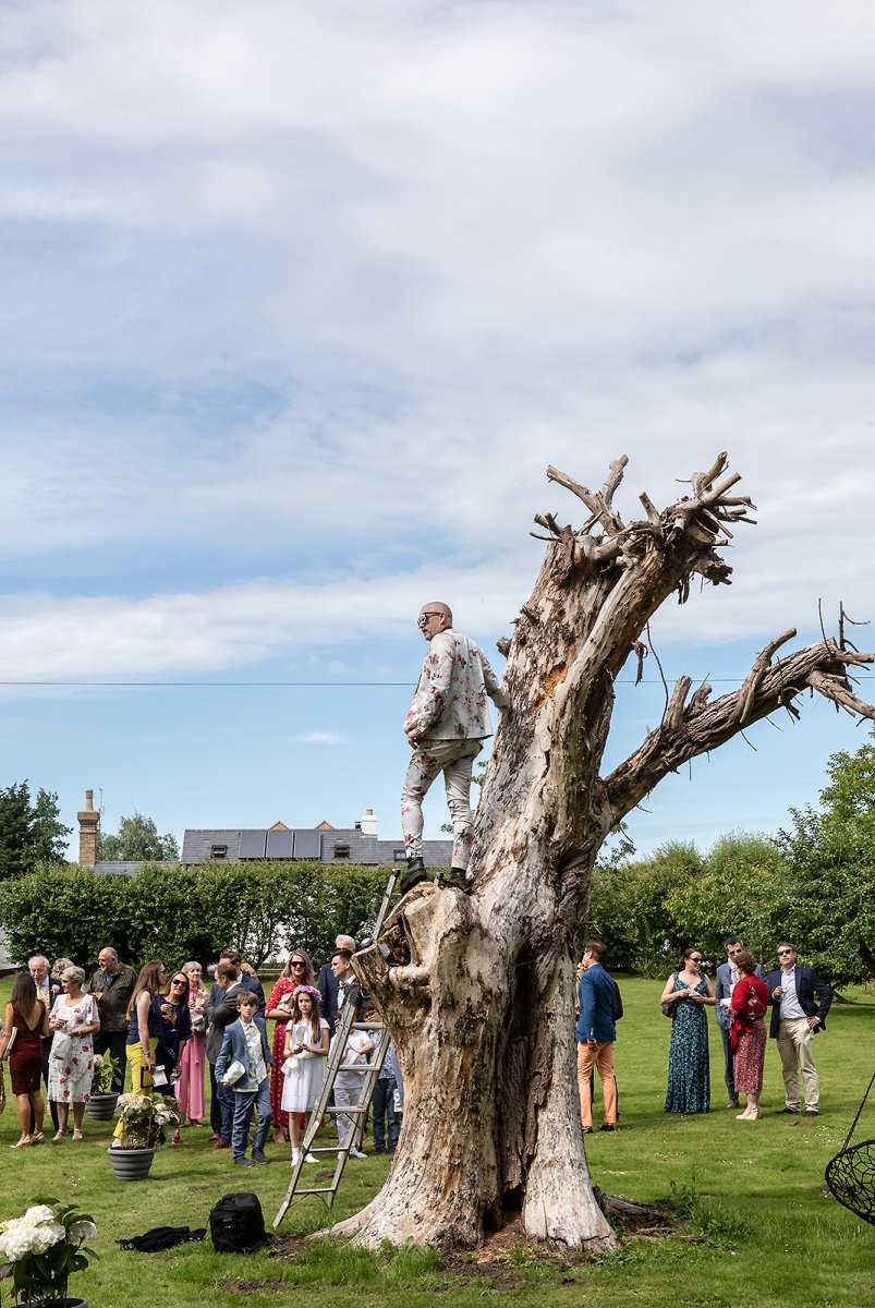 yesterday's happy day, up wasp tree