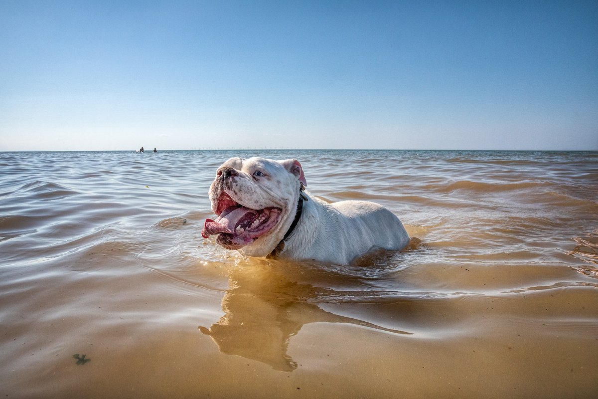 gone swimmin