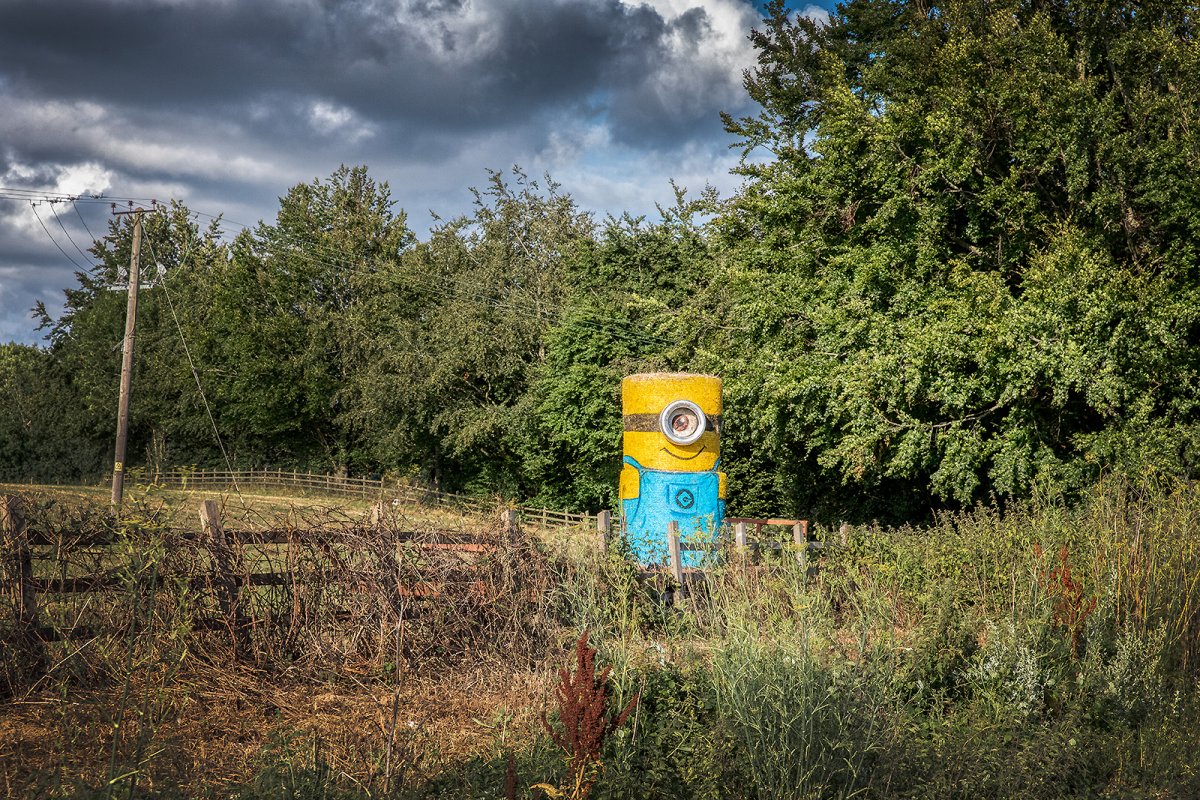 town mascot