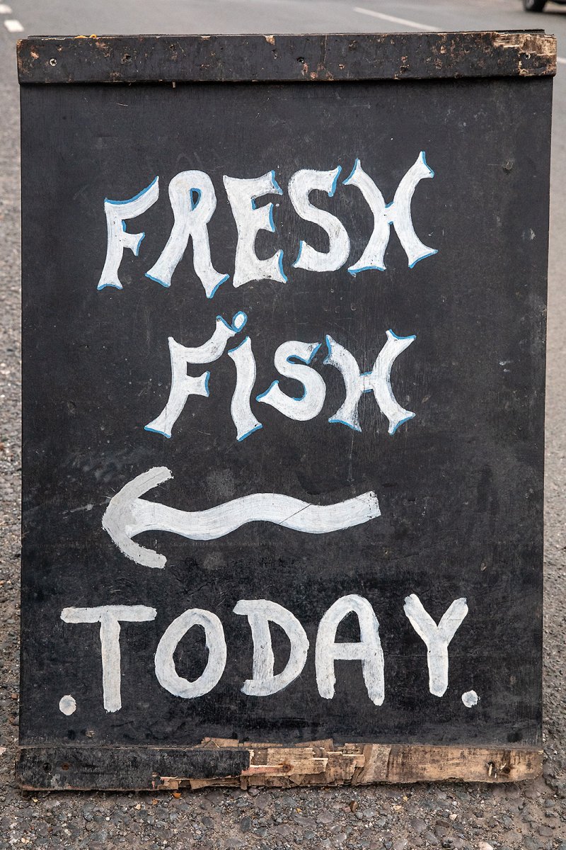 fishy typeface