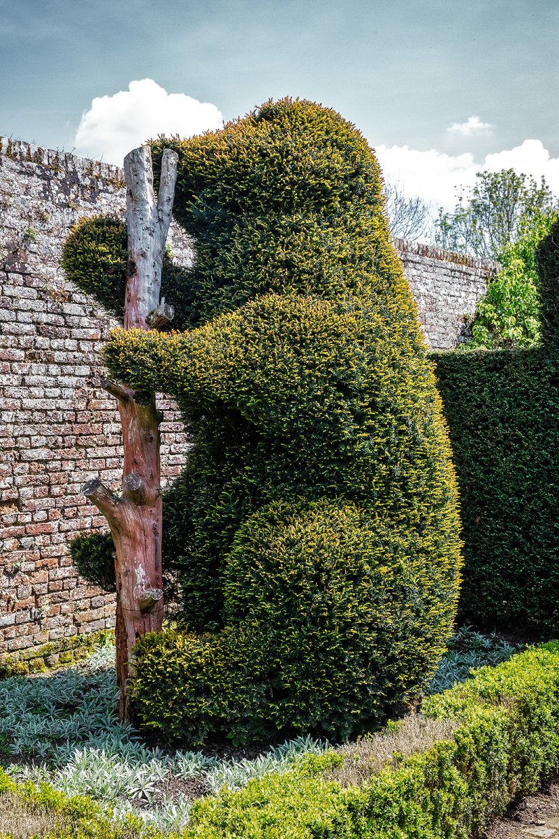 topiary guinea pig?