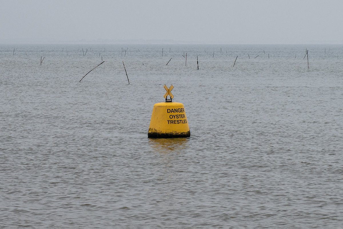 sick bouy