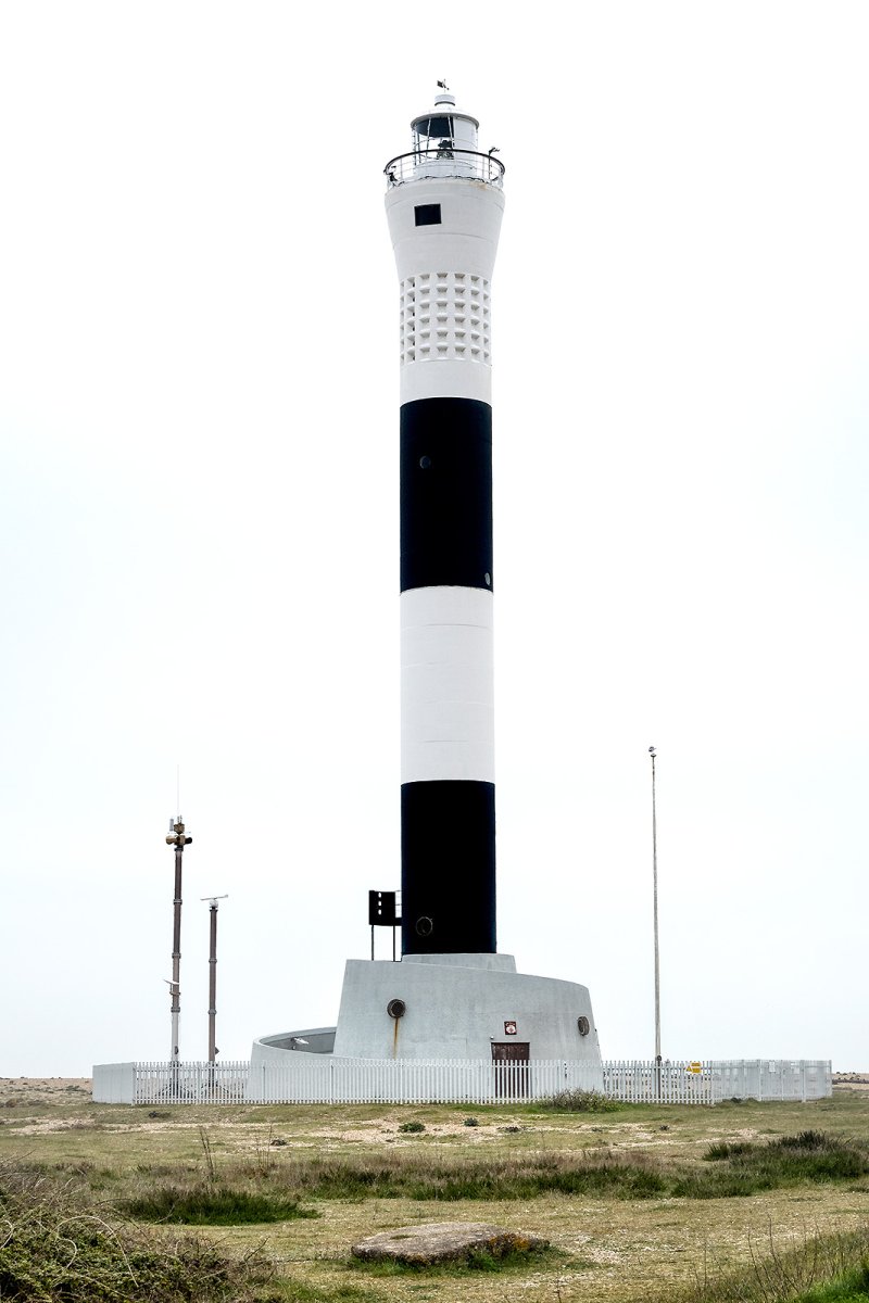 stripey phallus
