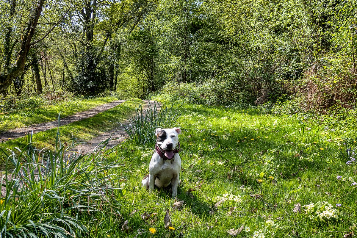 we are in our happy place