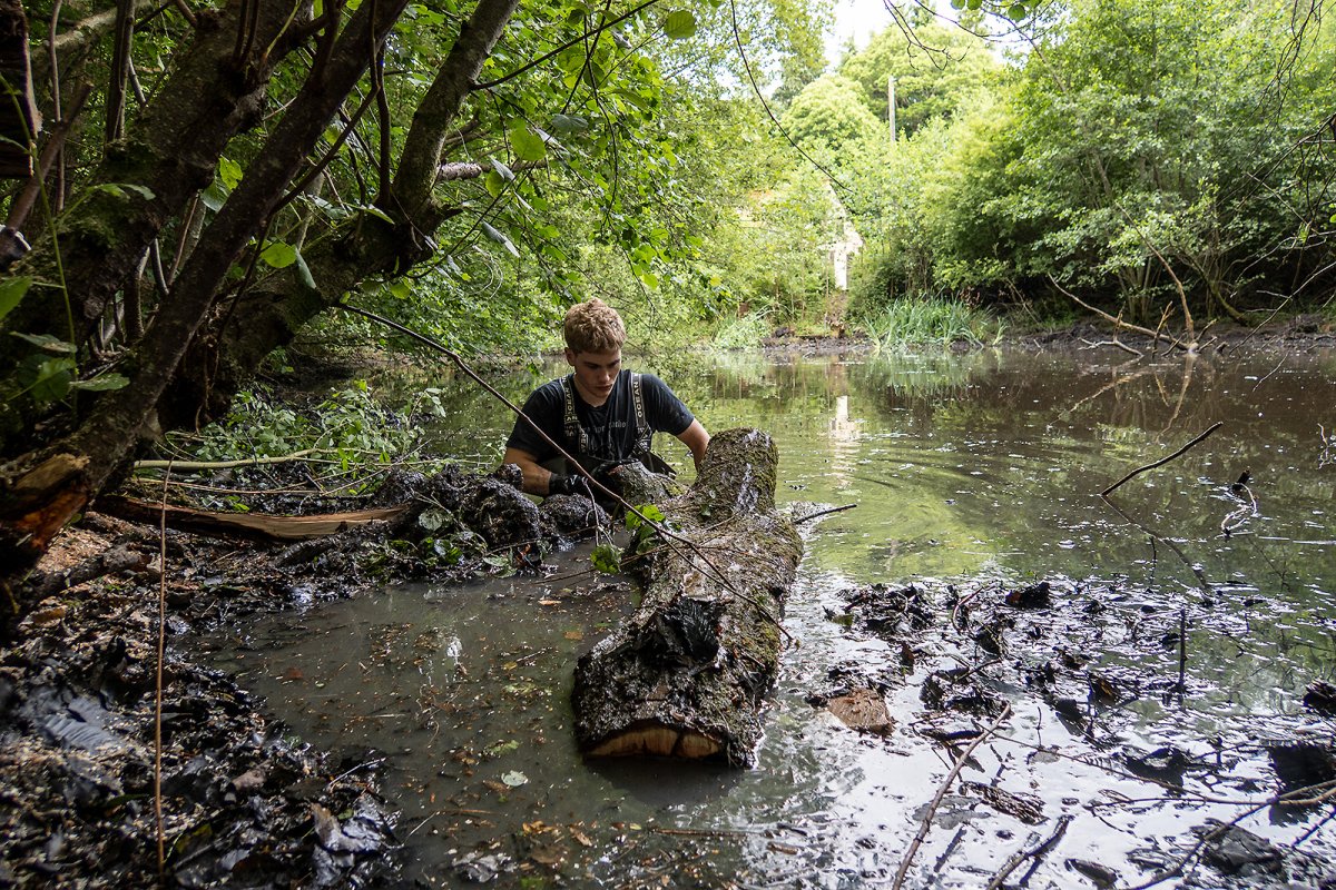 Z wrestling with a crocodile
