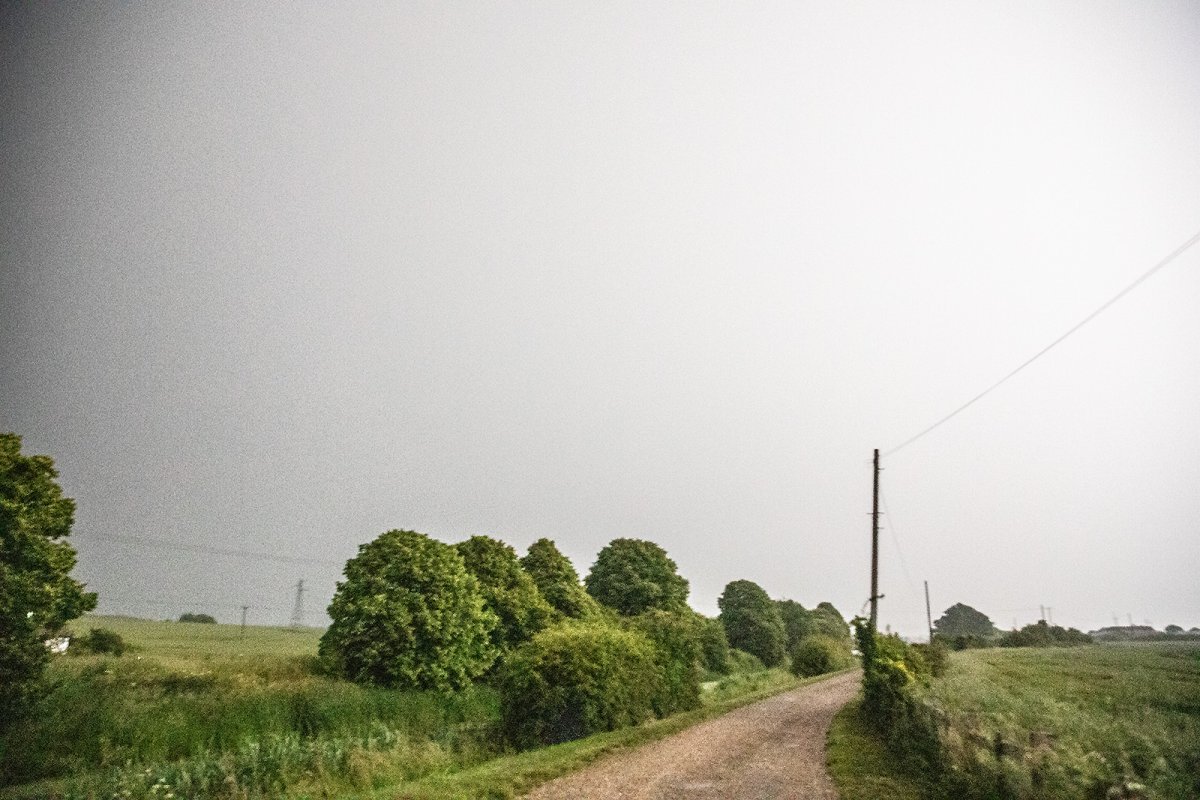 midnight at the oasis