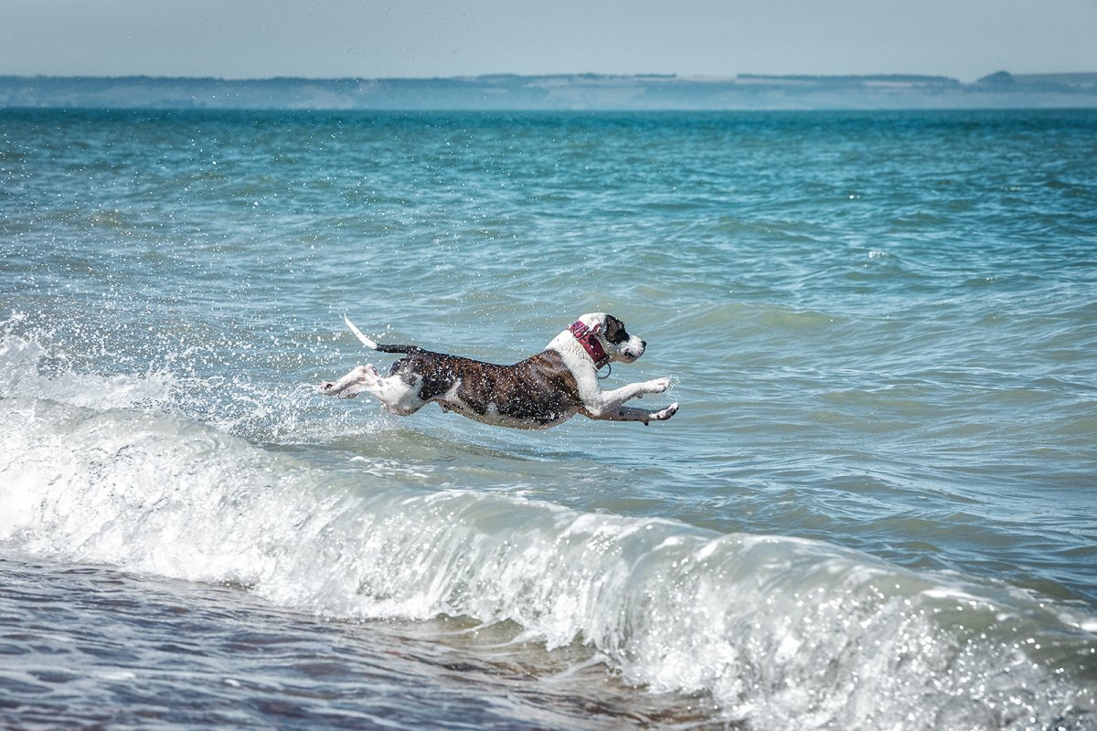 hitting the waves...