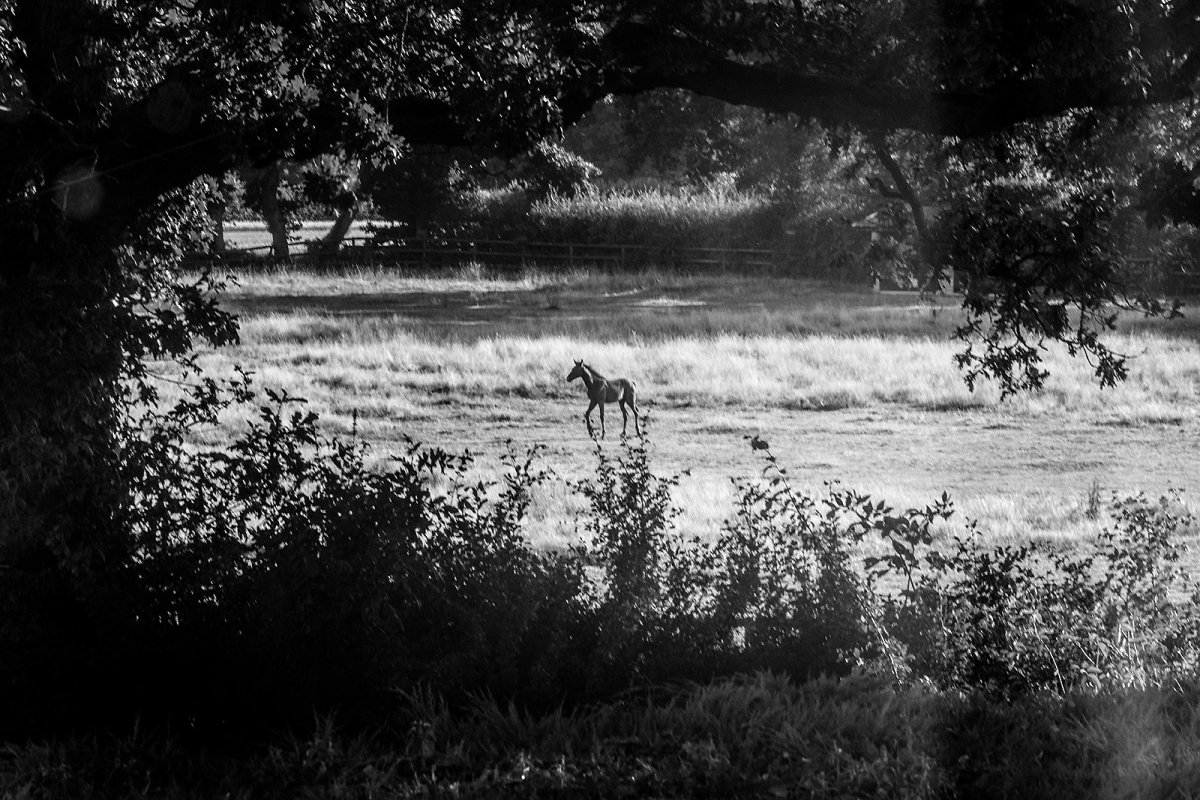 the view from our bedroom