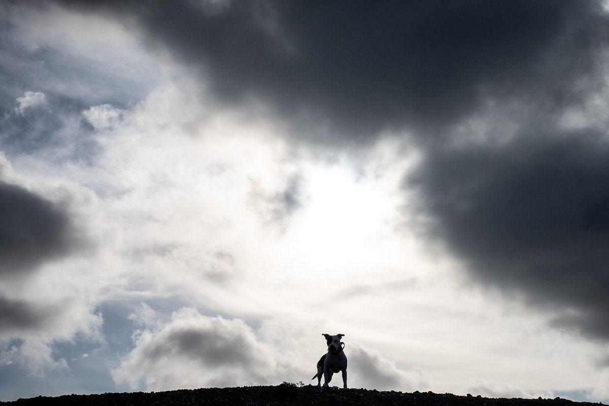 lazy day on the beach