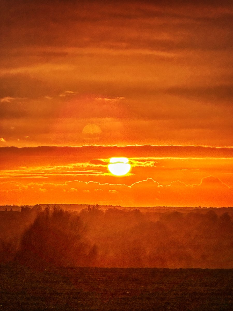 as the world gently burns