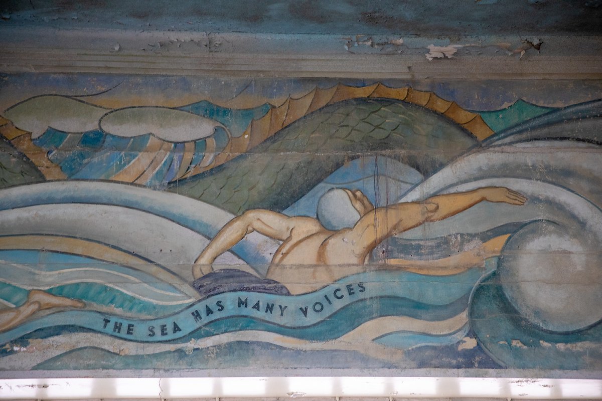 THE SEA HAS MANY VOICES