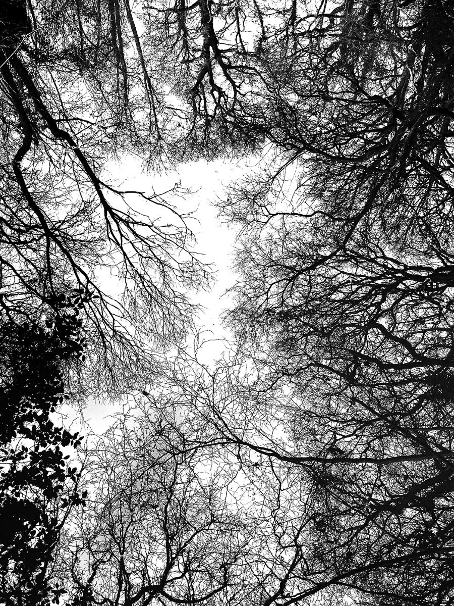 a good day at the woods