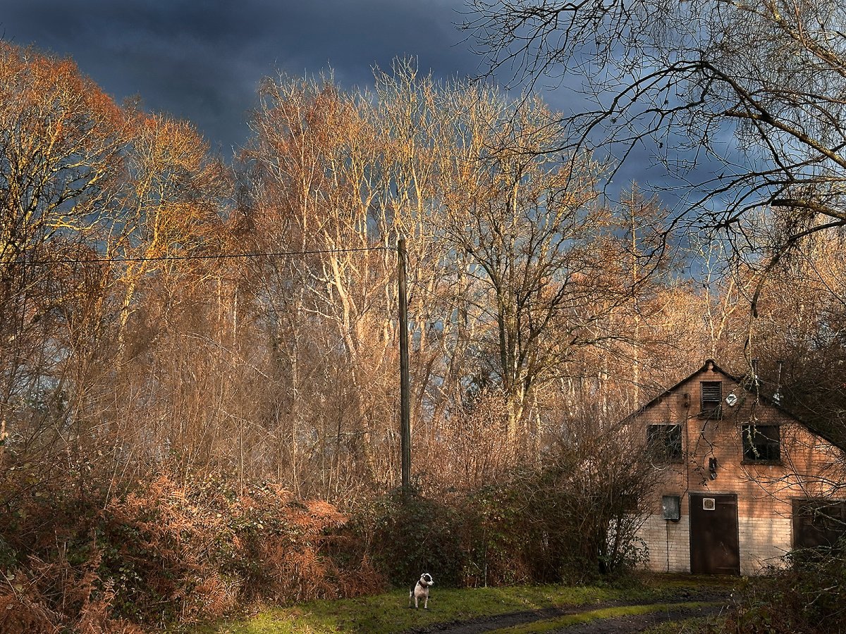 my favourite lighting scenario