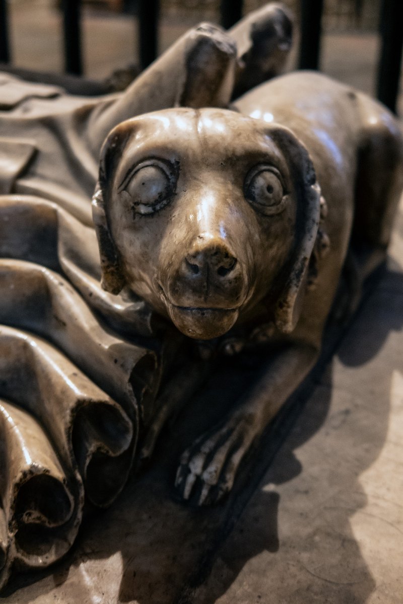 William Courtenay's dawg (footrest)