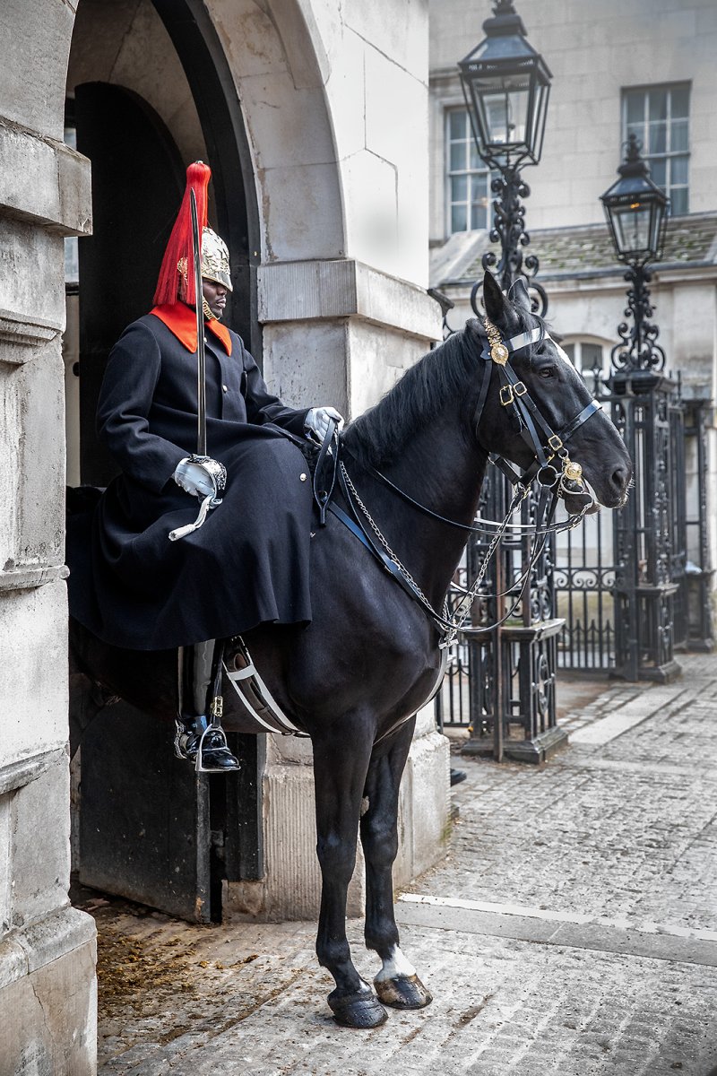 year of the horse, you know?