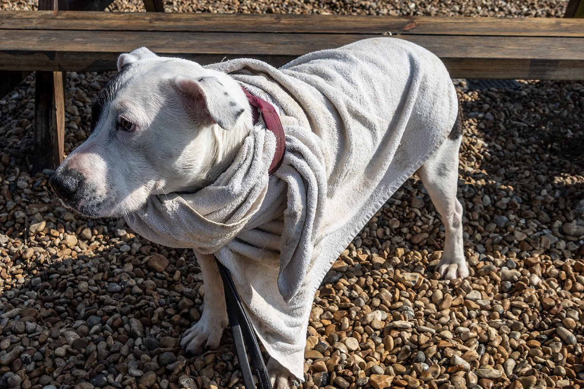 the height of faaaashion