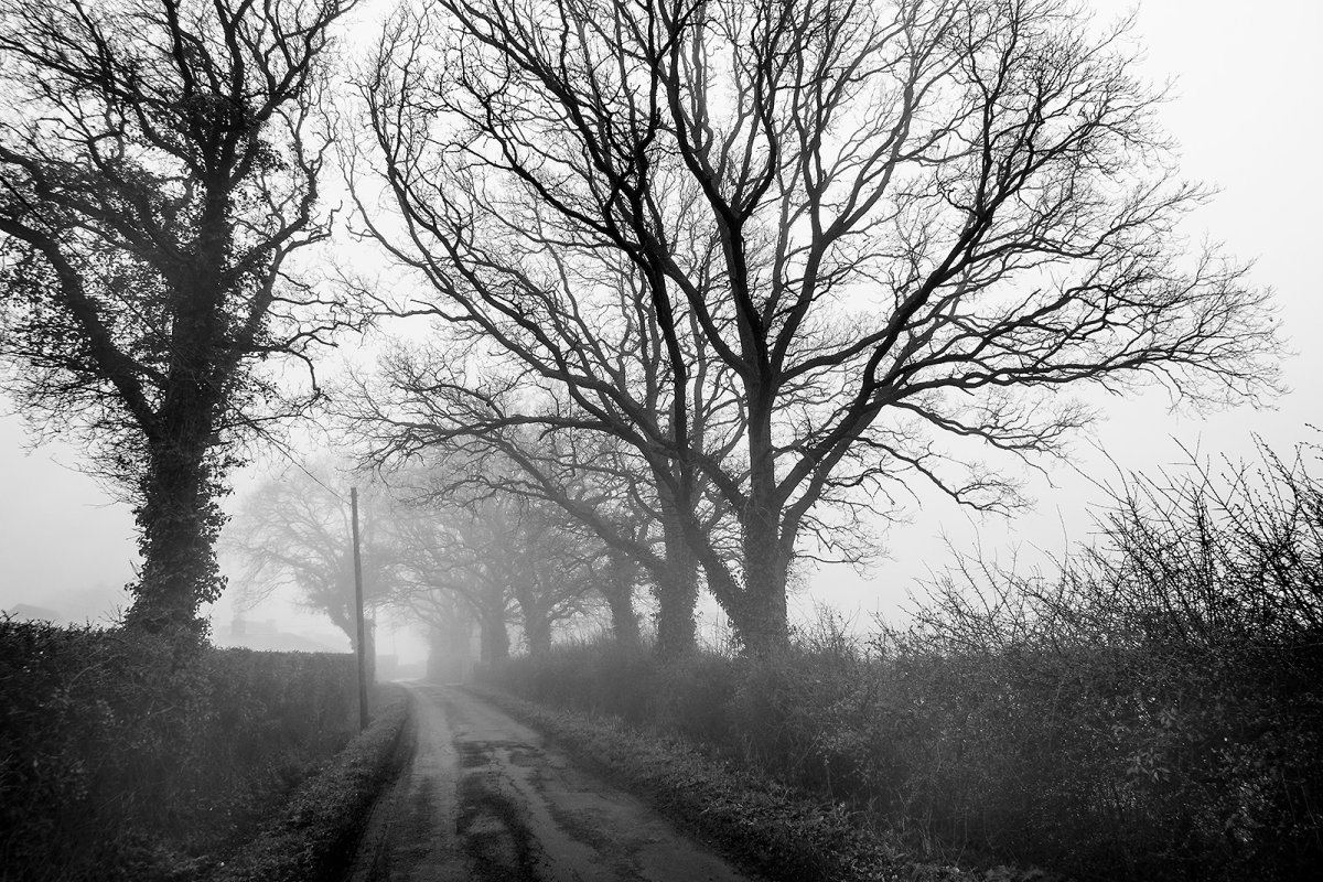 architectural designs