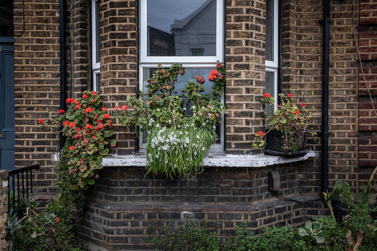 windows are over-rated