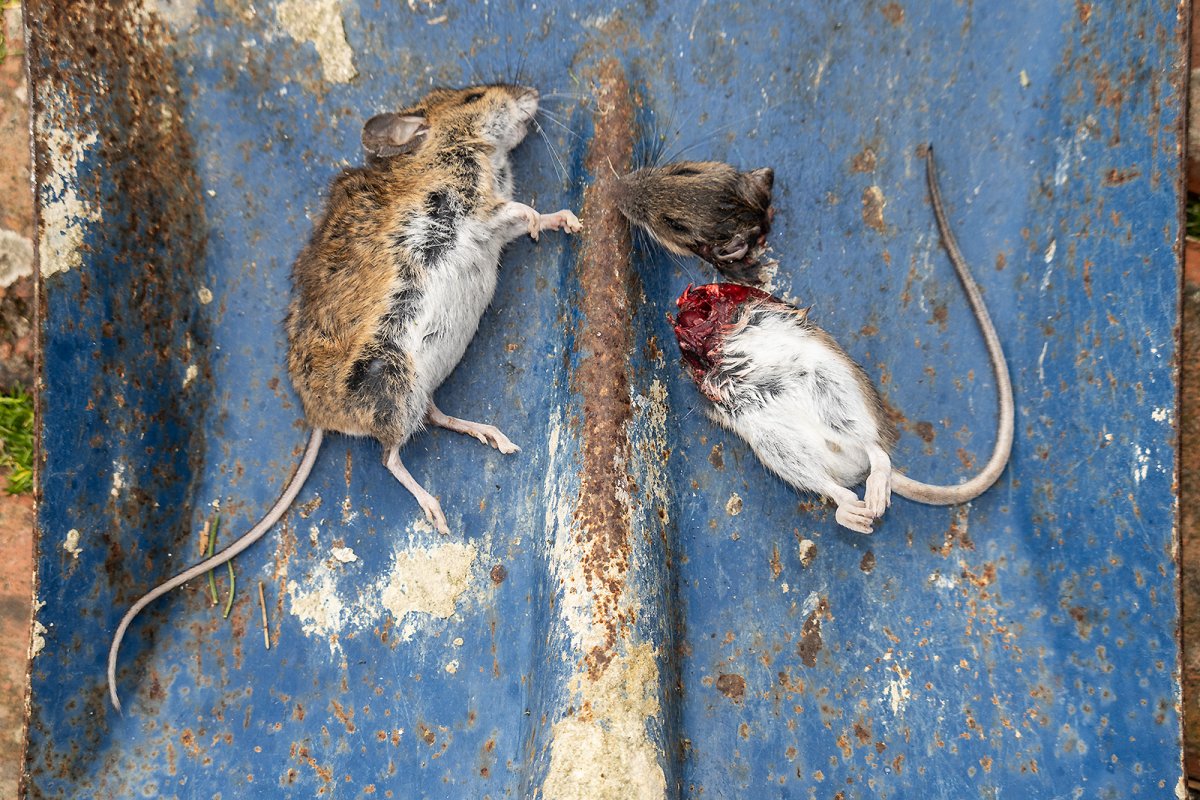 lets call a spade a spade