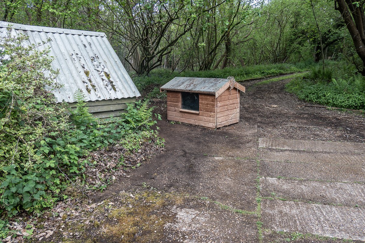 the gimp house