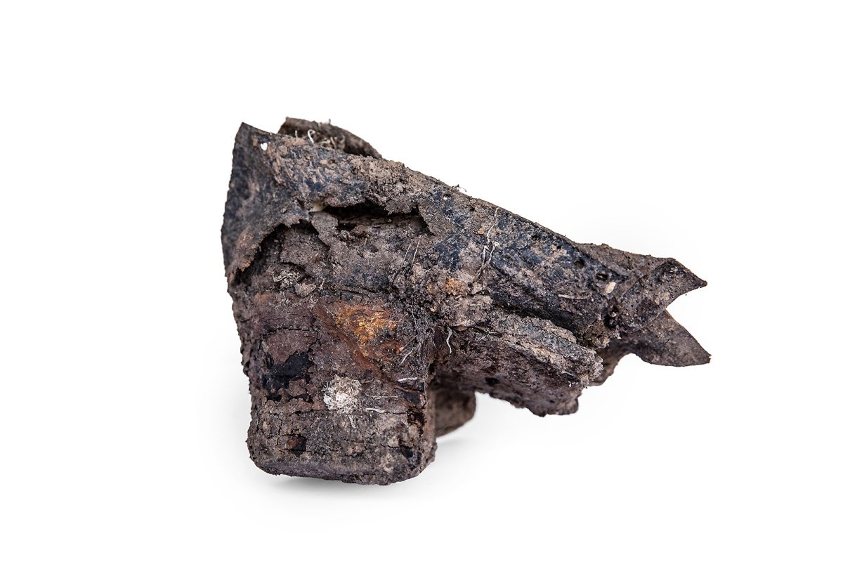 lady's heel