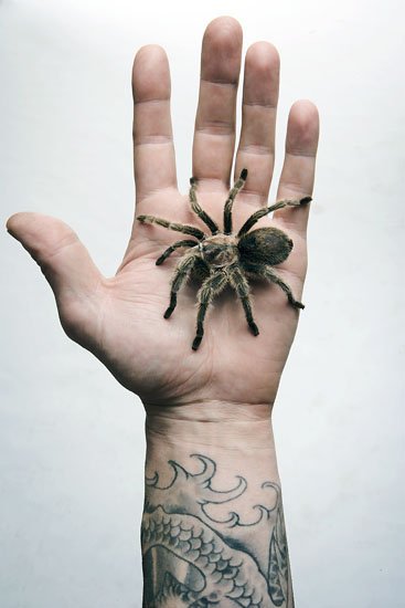 itsy bitsy