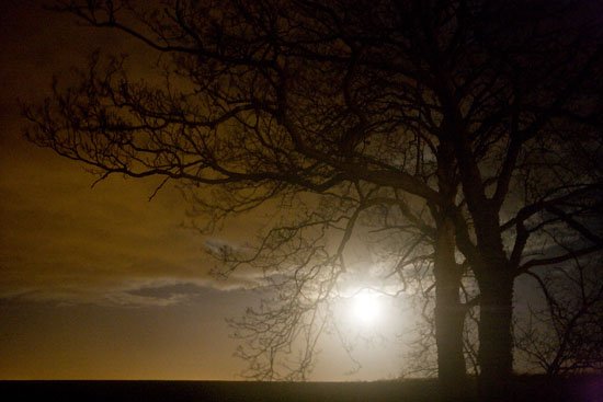 moonlit moment