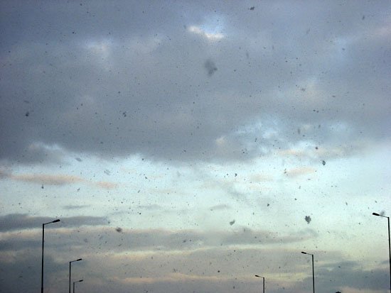 no snow, no show