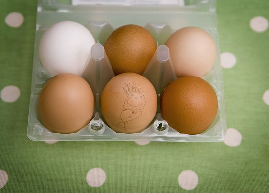 egg head