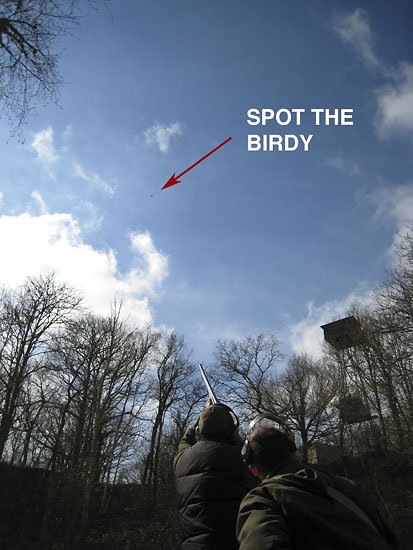 spot the birdy
