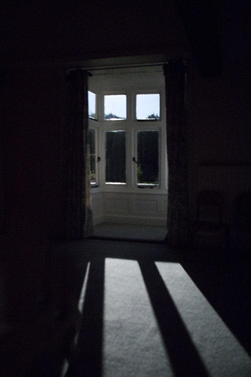 a moonlit sonata