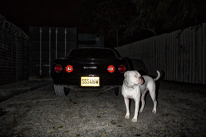car security