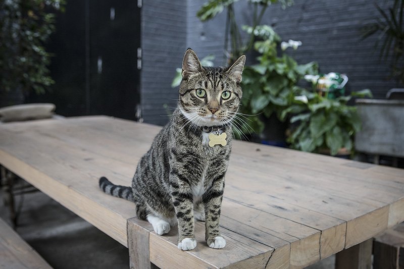 beautiful pussy